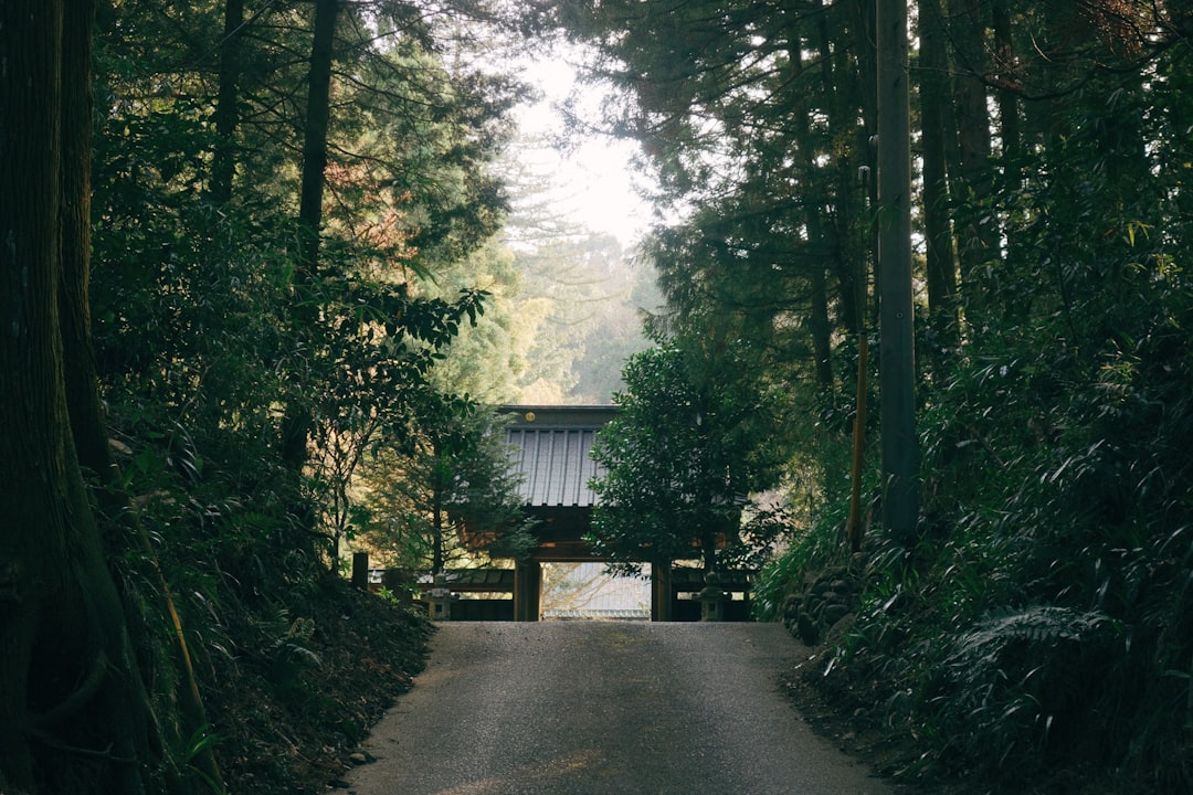 太平山神社へ続く参道