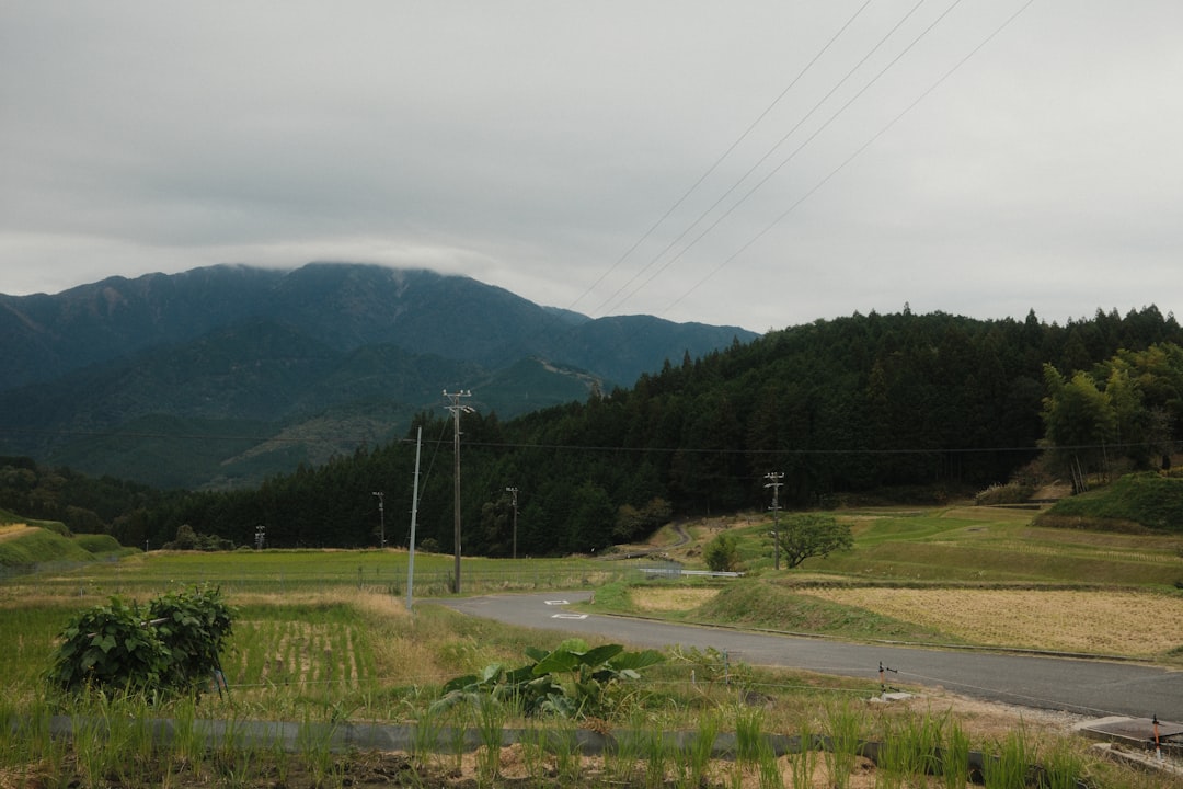 栃木市周辺の田園風景