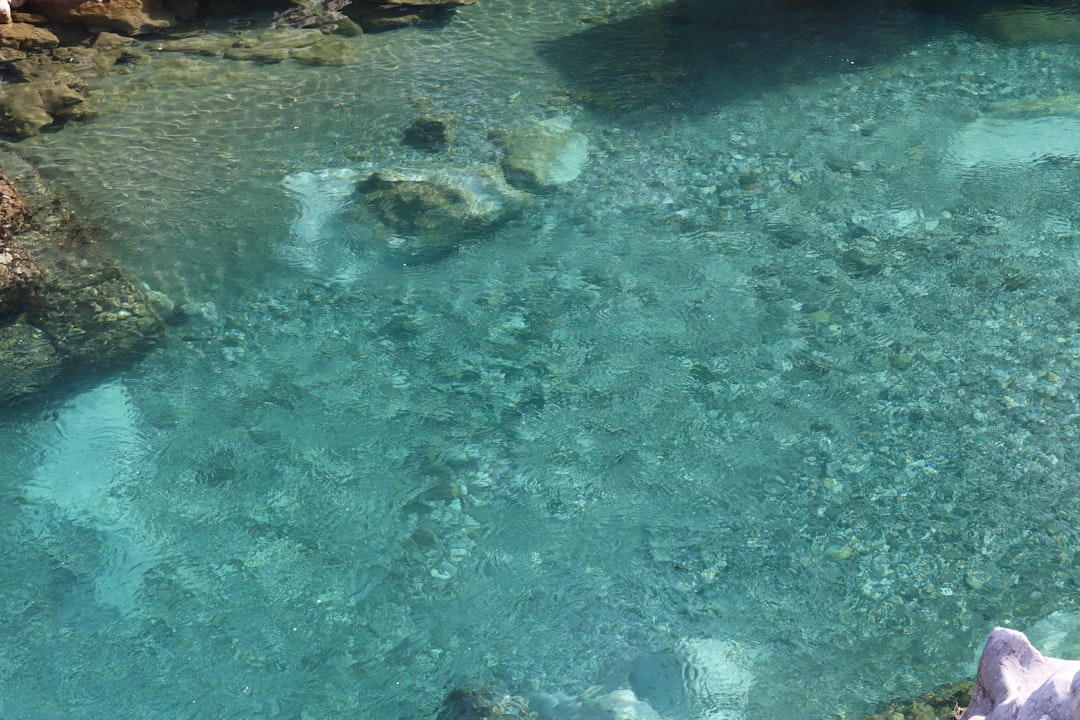 透き通った湧き水の池