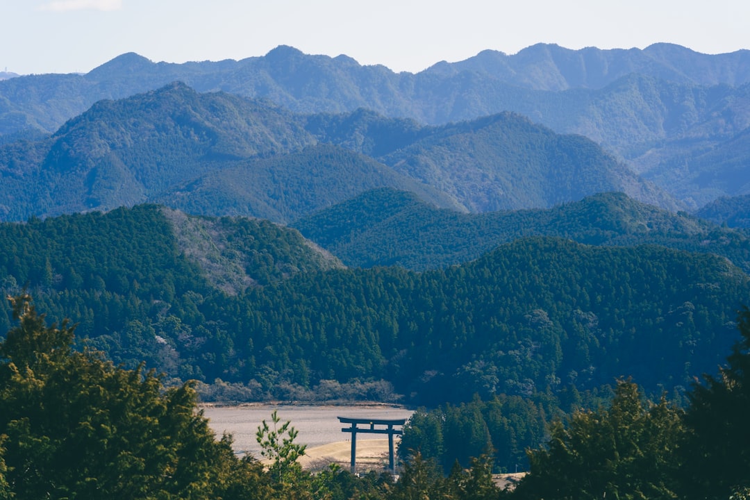 鳥居と森に囲まれた山道