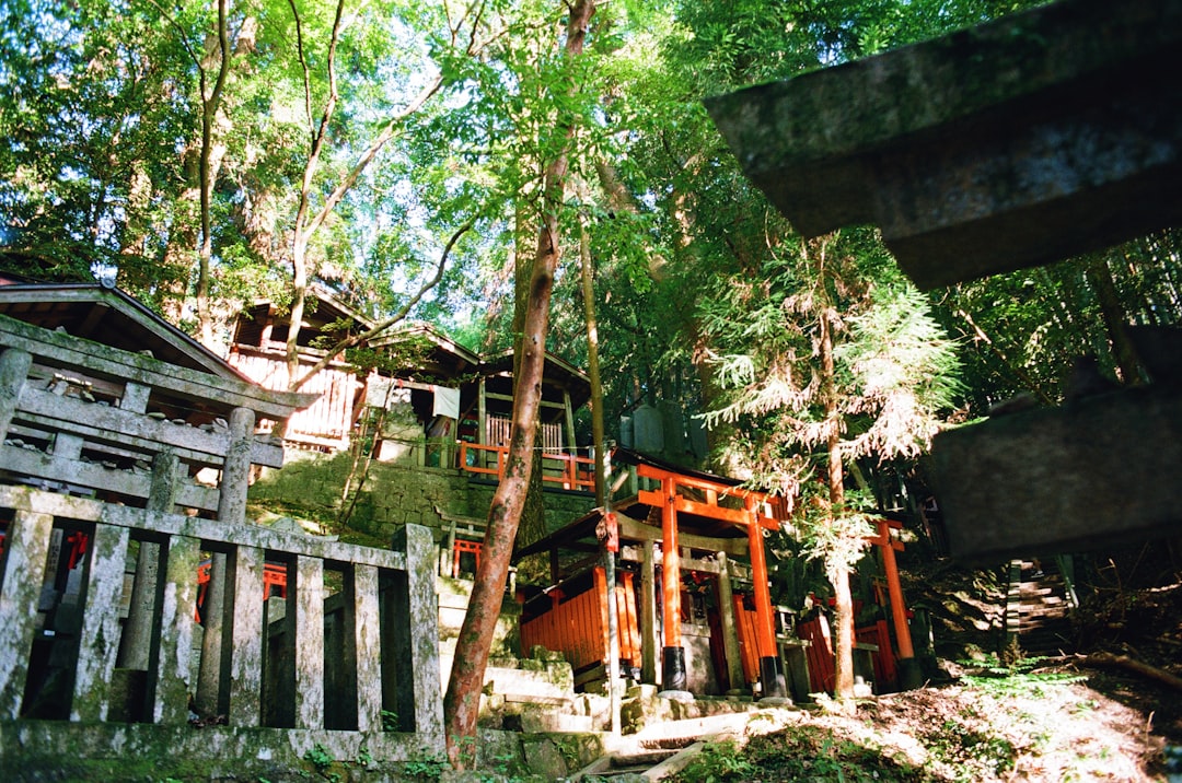 森の中の小さな祠