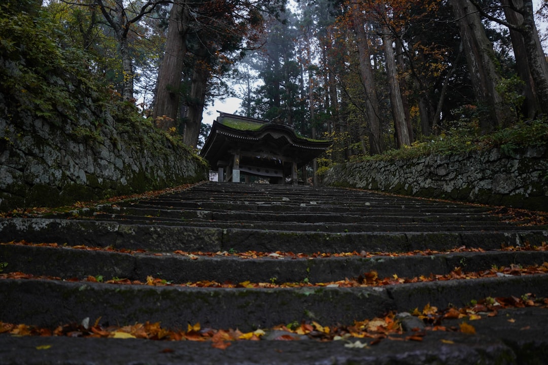 苔むした寺院の階段