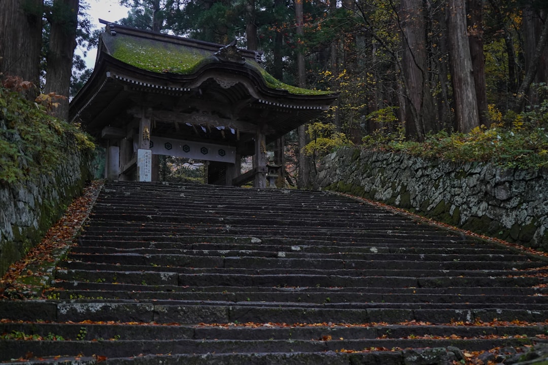 苔むした石段と寺の門