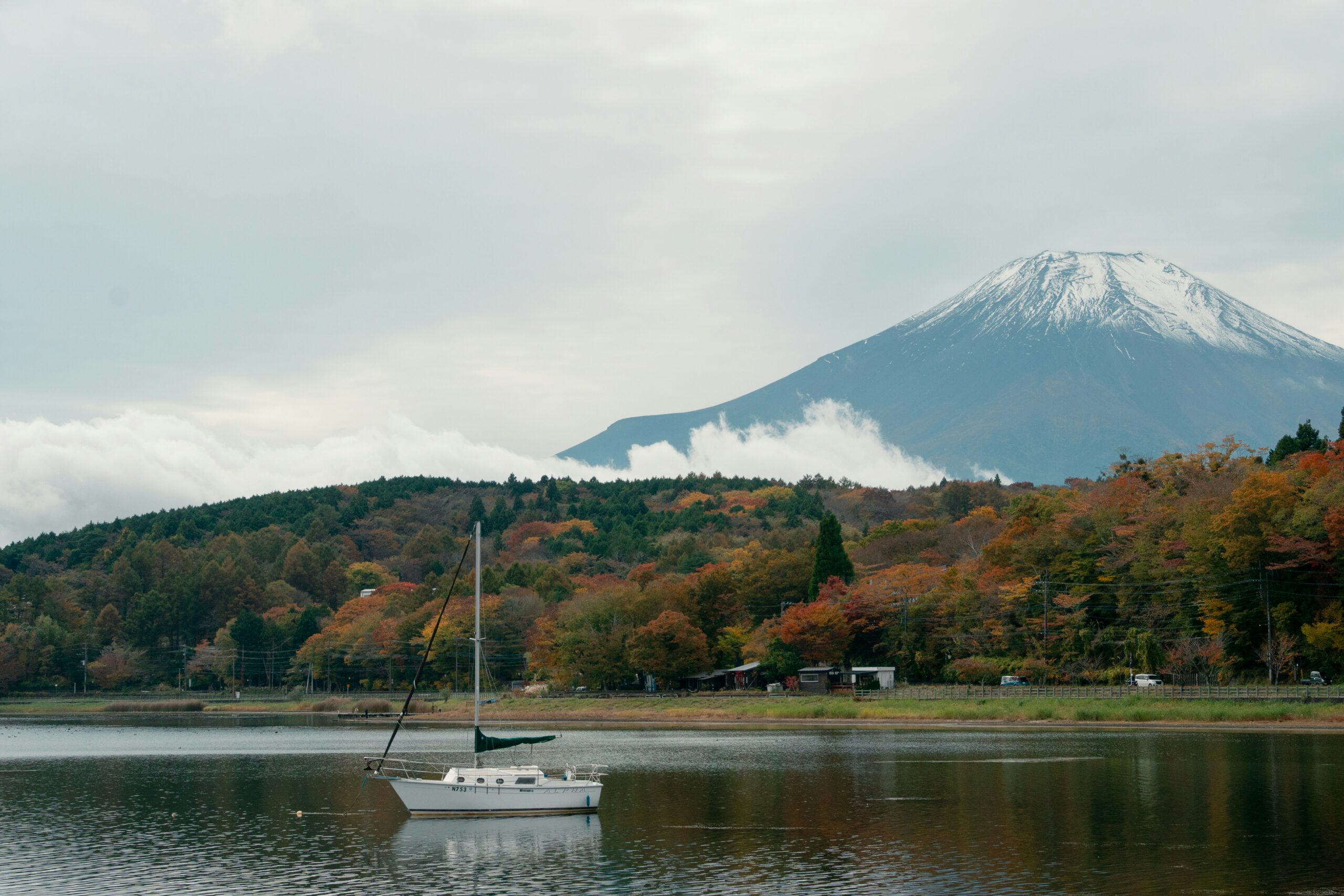 紅葉の中を進むロープウェイからの眺め