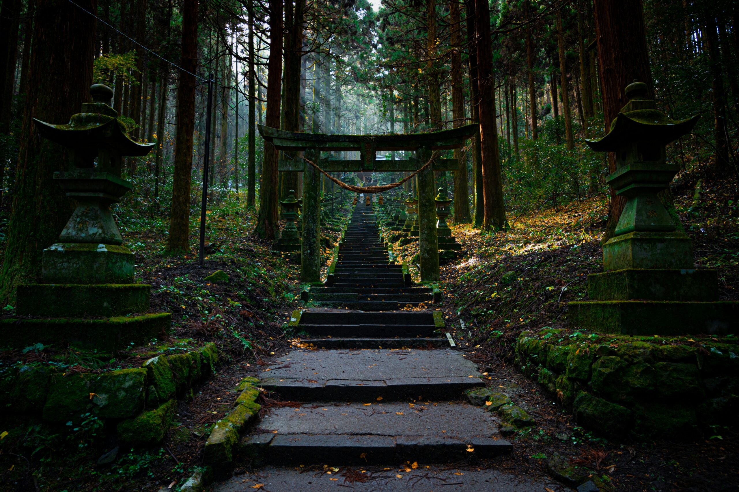 竈門神社の鳥居と石段