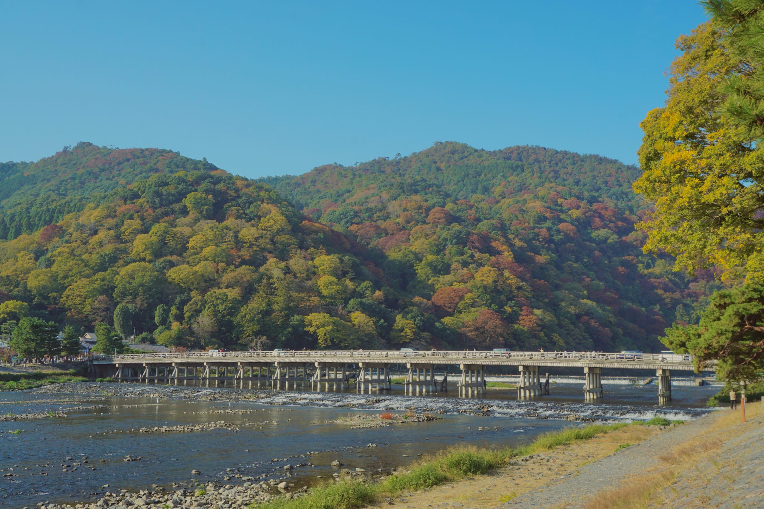 嵐山の渡月橋と紅葉