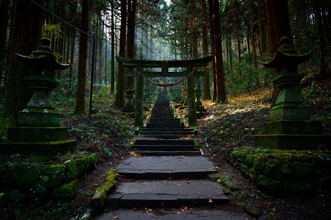 山中に隠れた神社