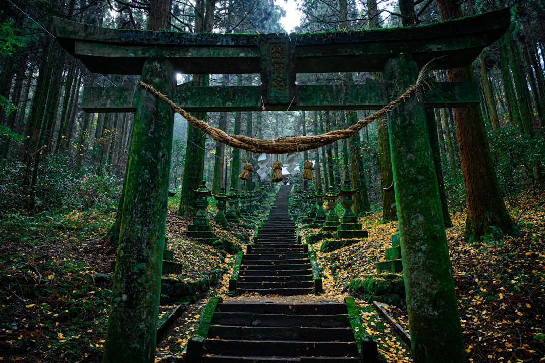 山中の隠れた神社への道