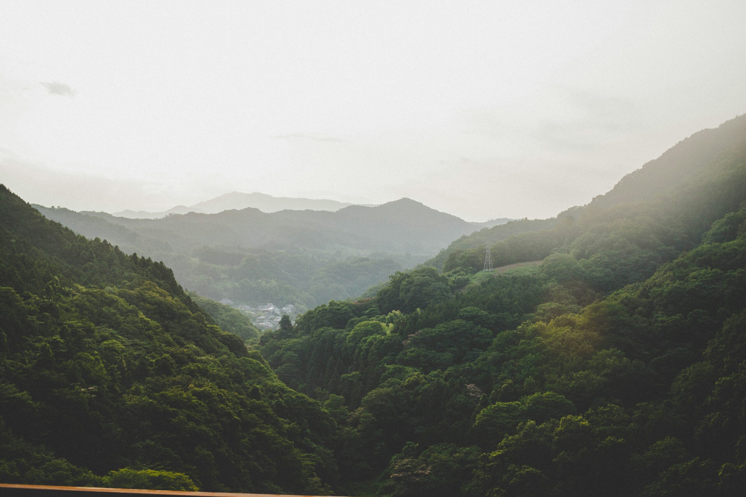 八ヶ岳山麓の登山道