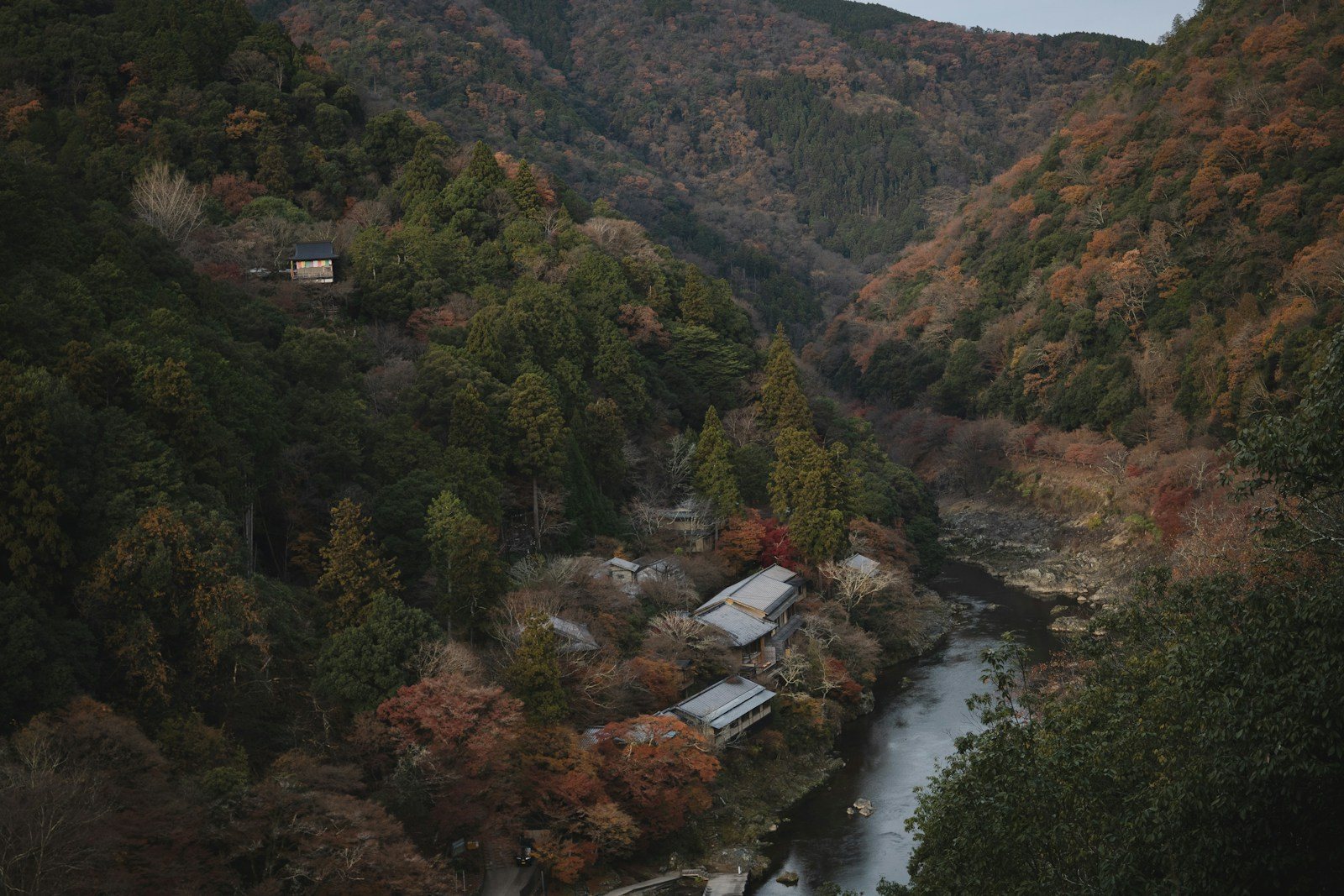 紅葉の森と川沿いの家並み