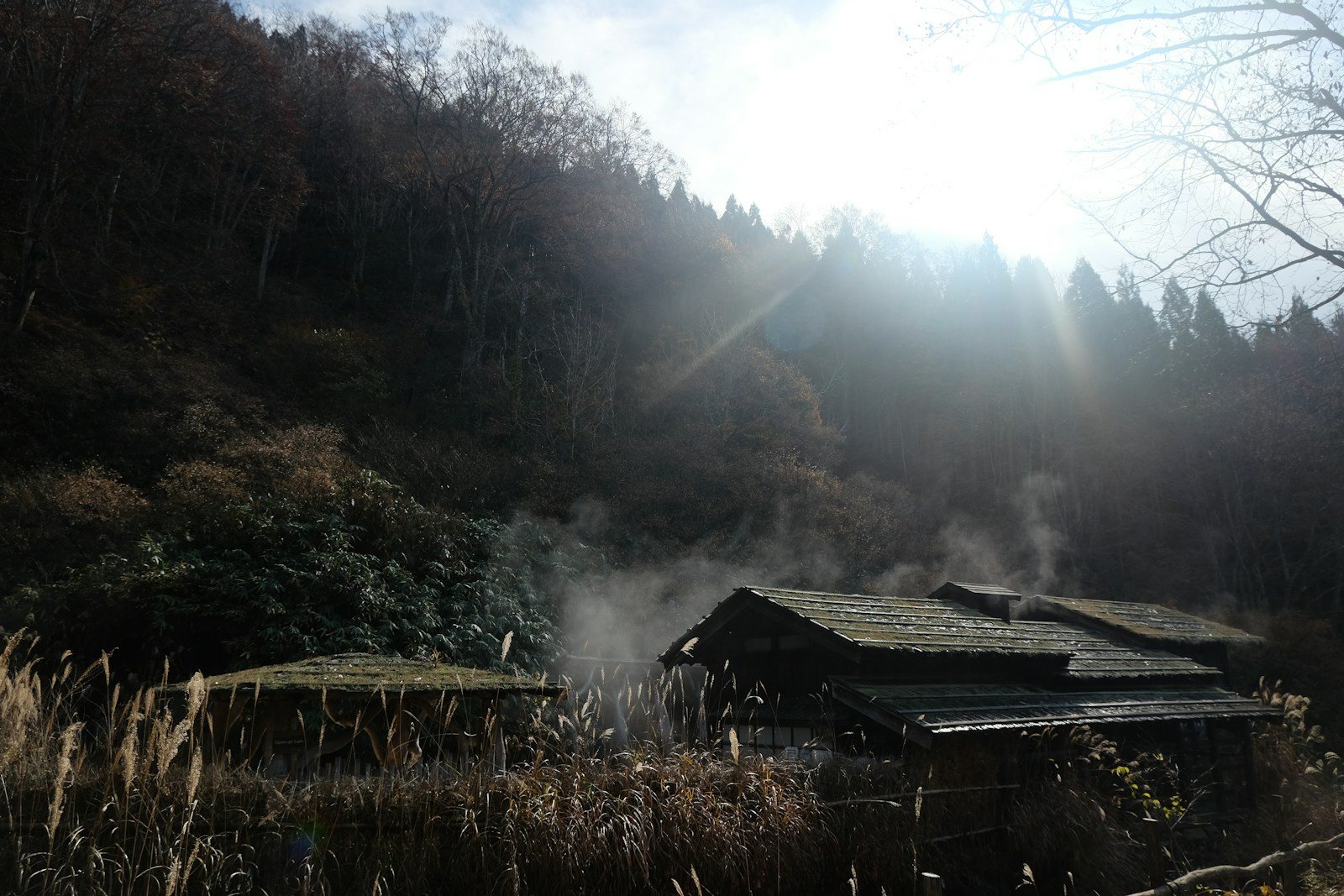 林を背にした一軒の建物