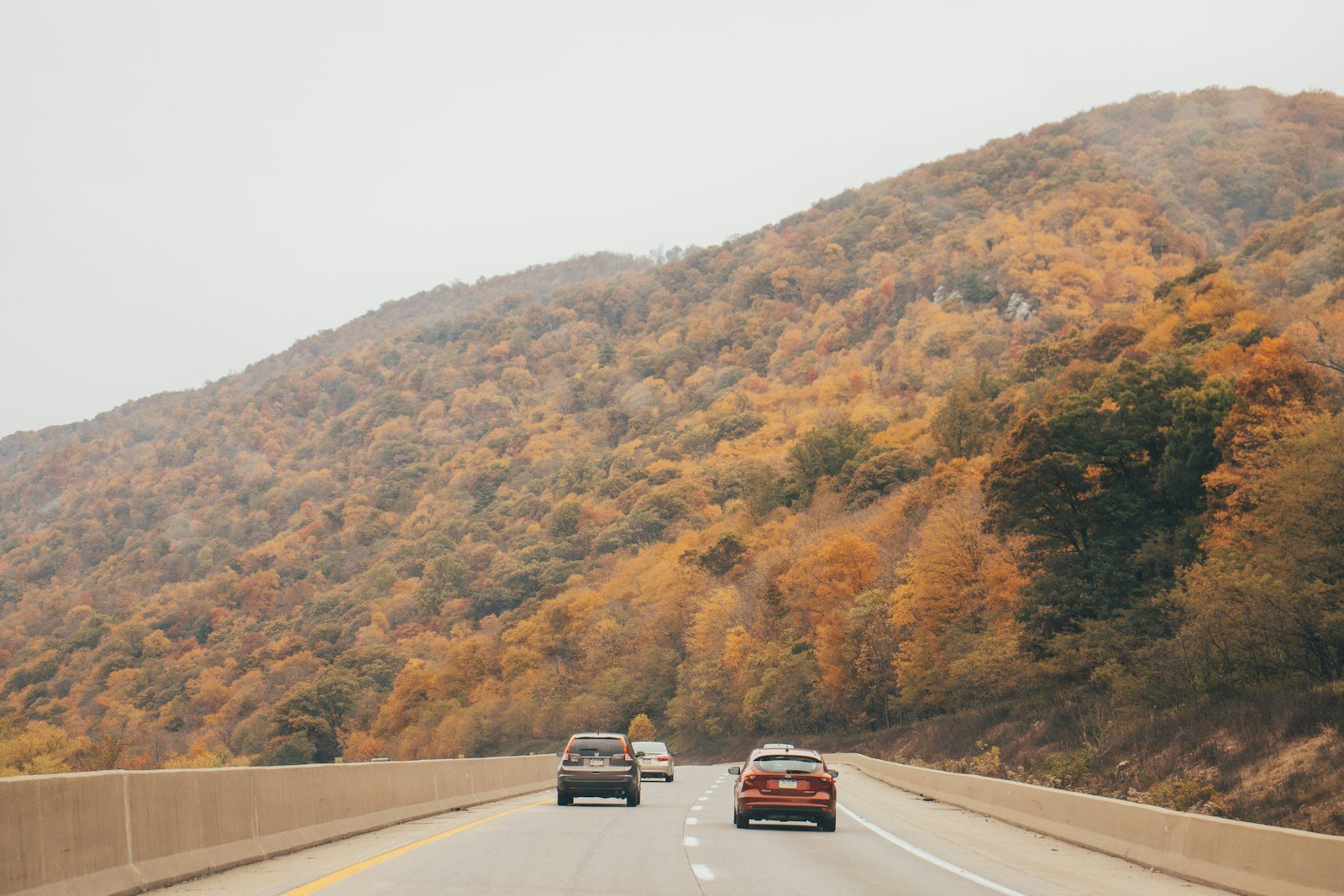 紅葉期に車が連なる山岳道路