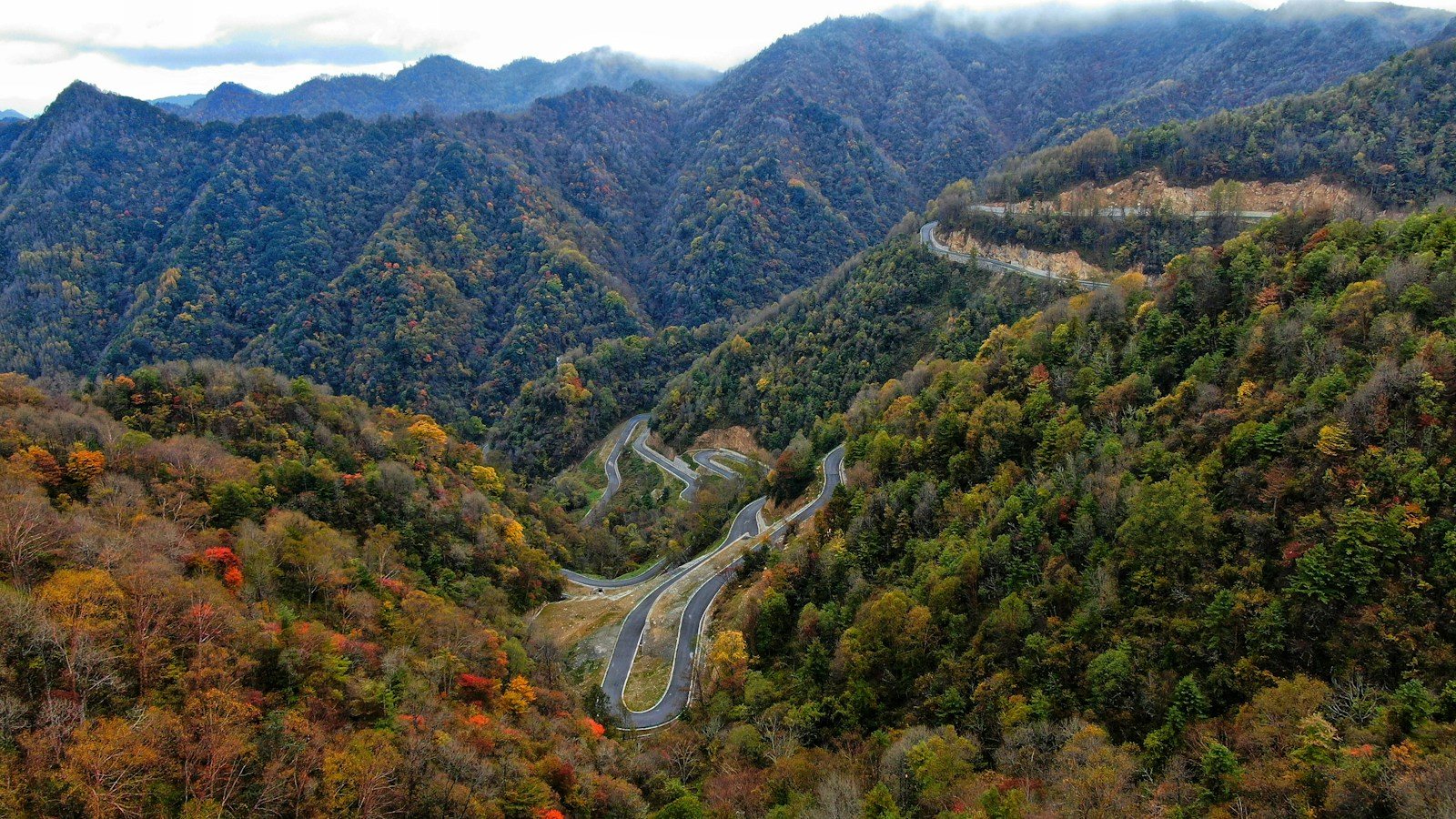森に囲まれた峠道