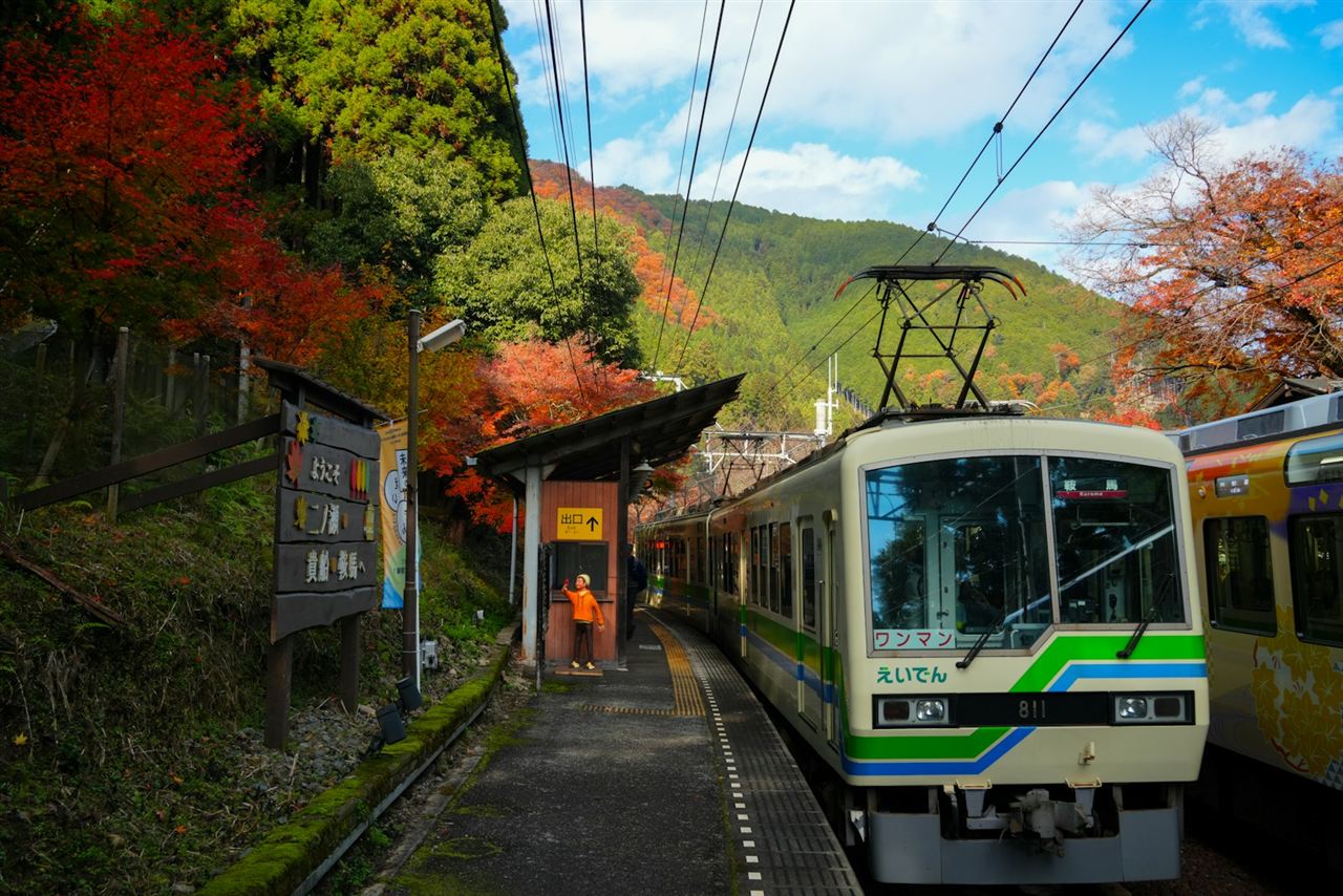 紅葉に囲まれた駅に停車する電車