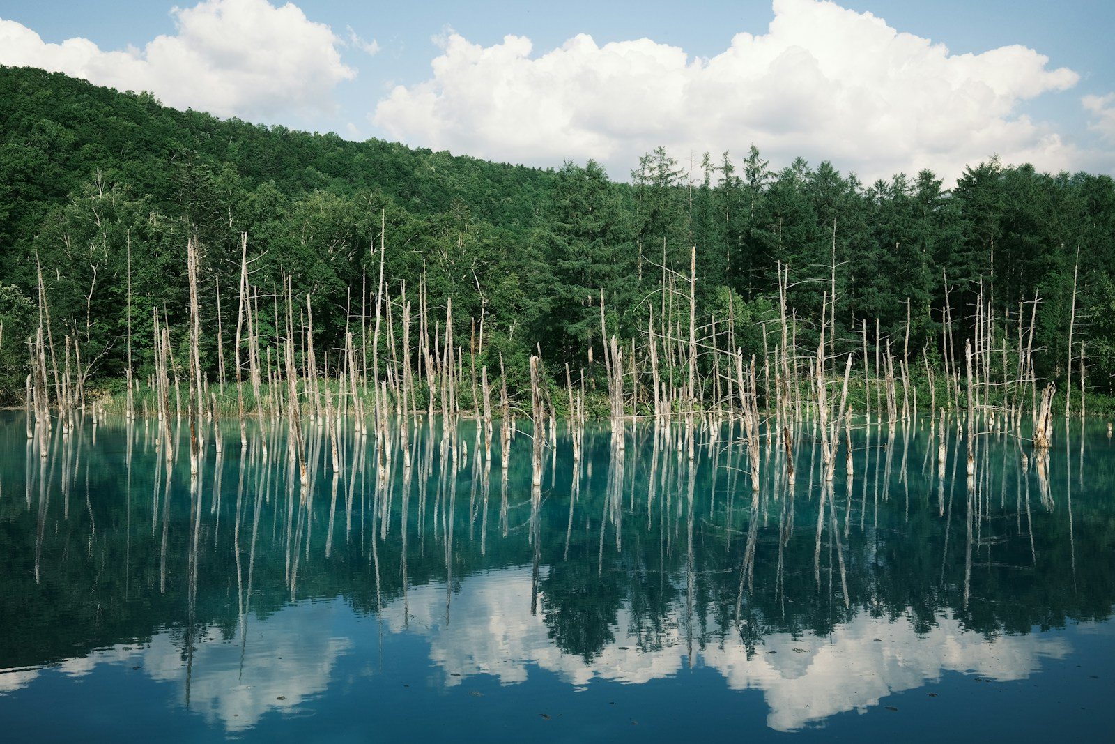 森に囲まれた湖面