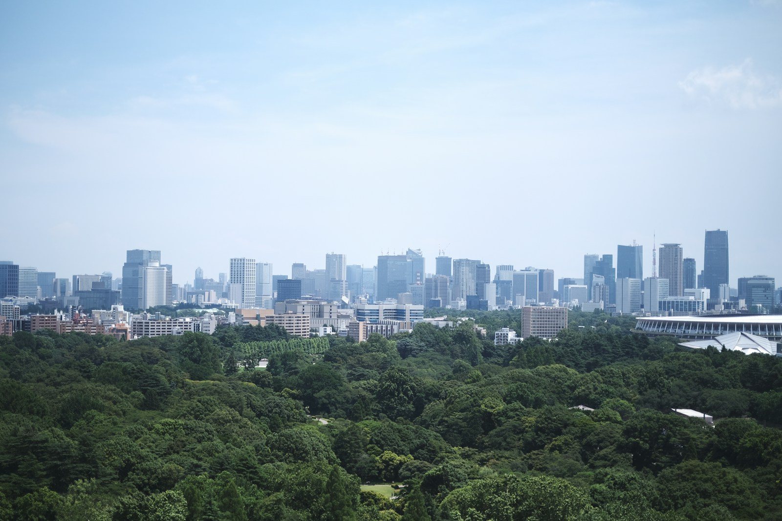 街の近くに茂る緑の木々