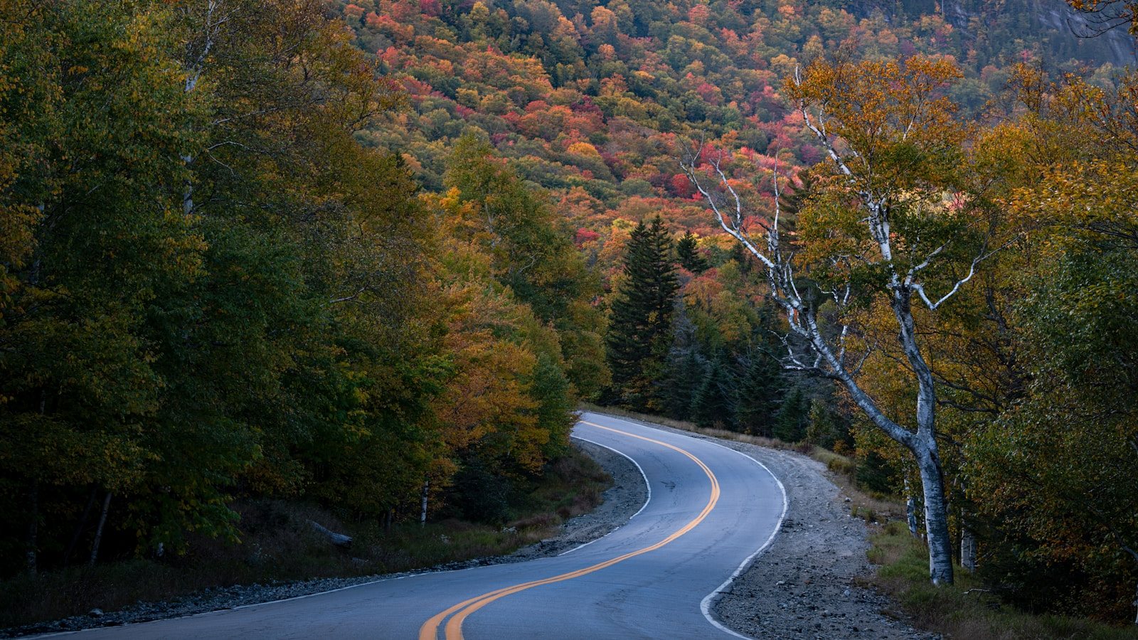 紅葉した木々の間を曲がる山道