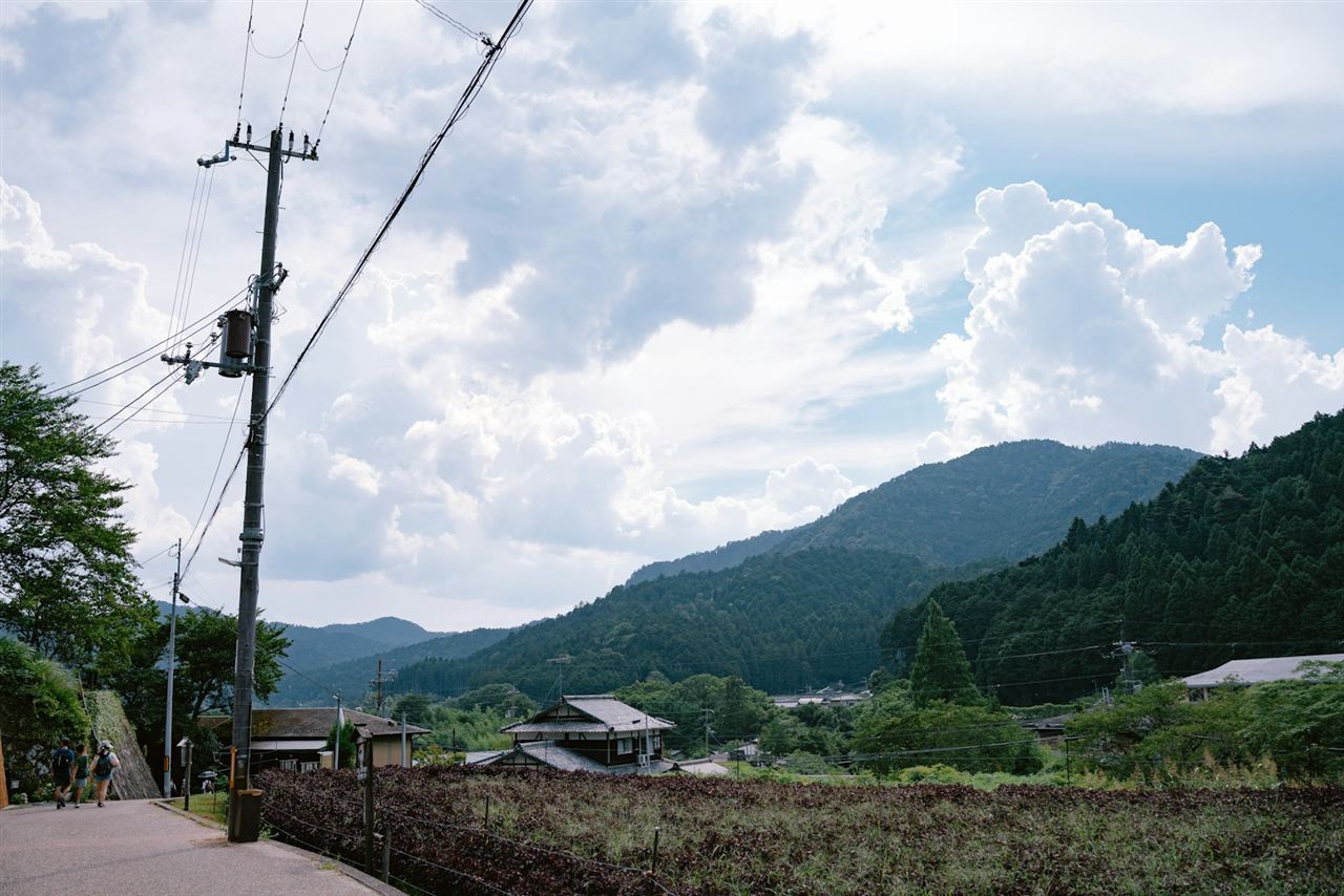 山を背にした田園風景