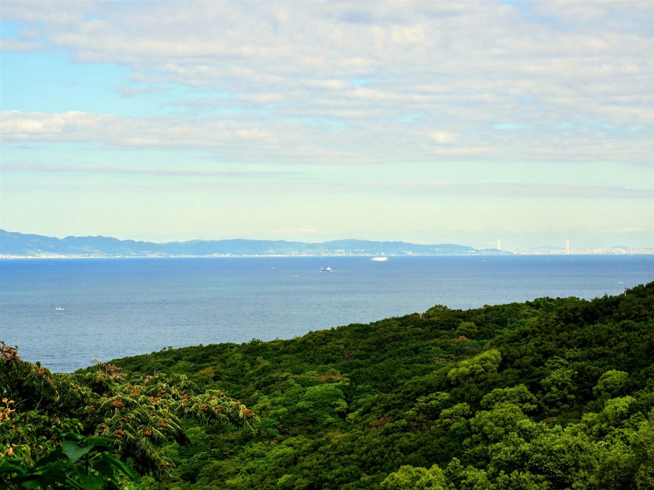 緑の丘の向こうに広がる海