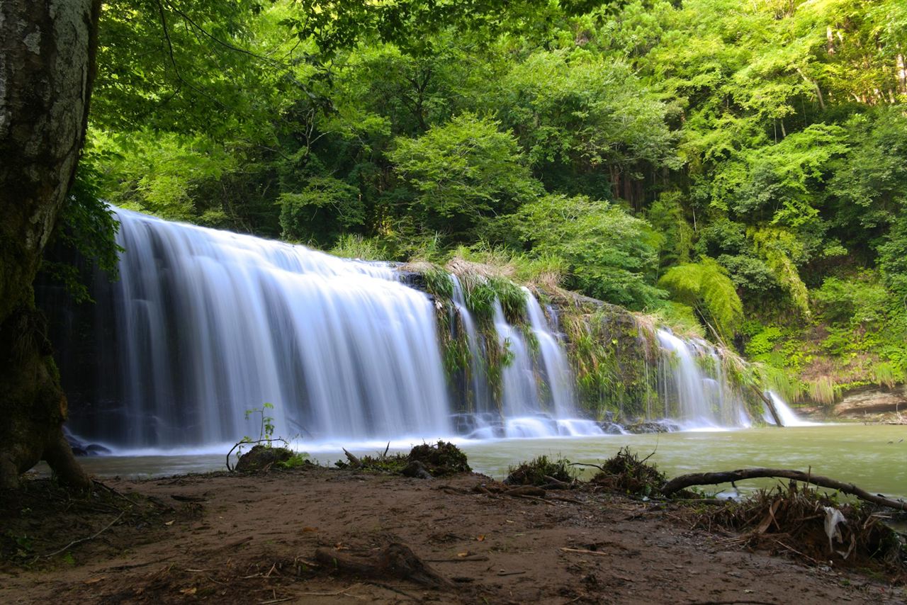 緑の森を流れ落ちる滝
