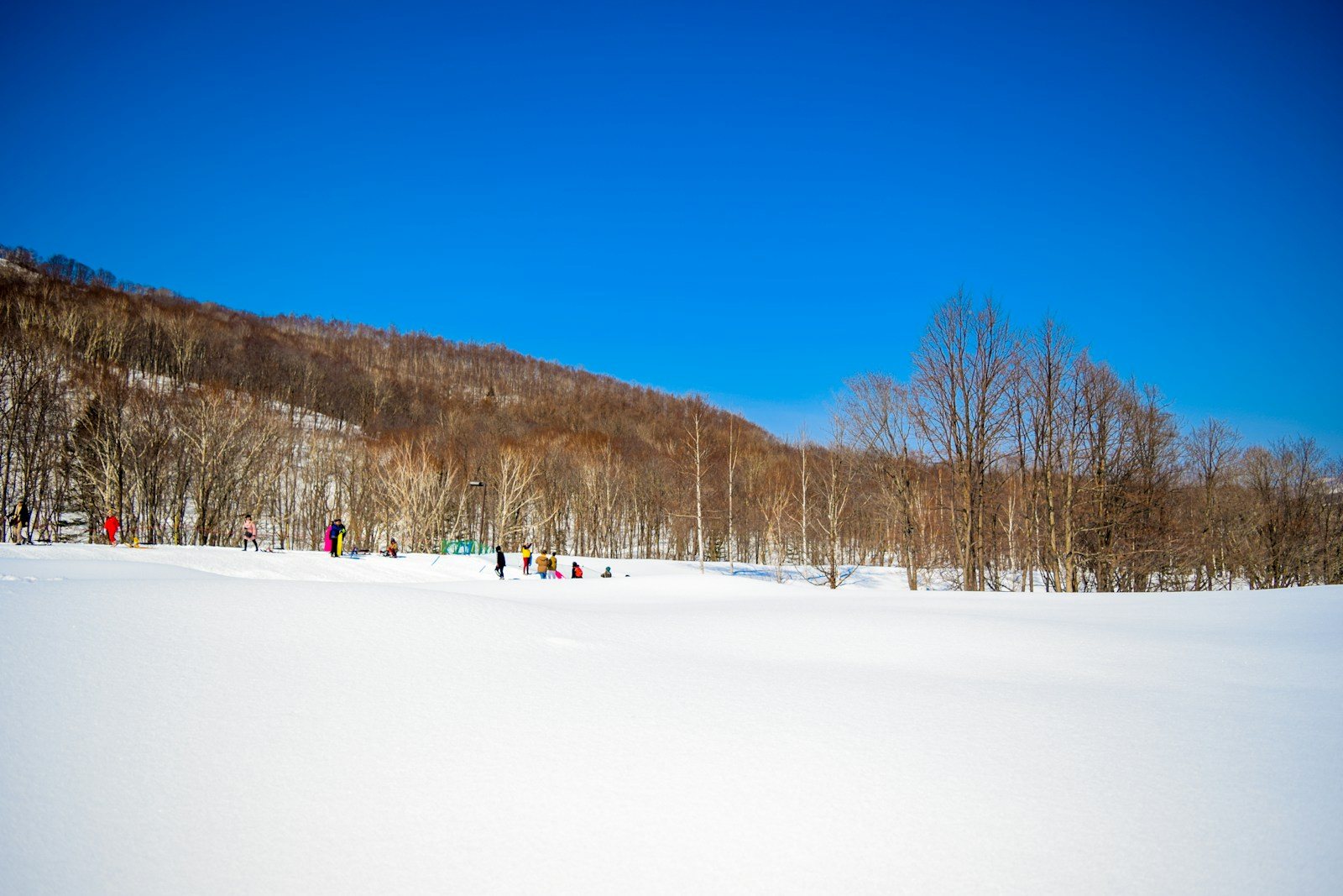雪に覆われたゲレンデ