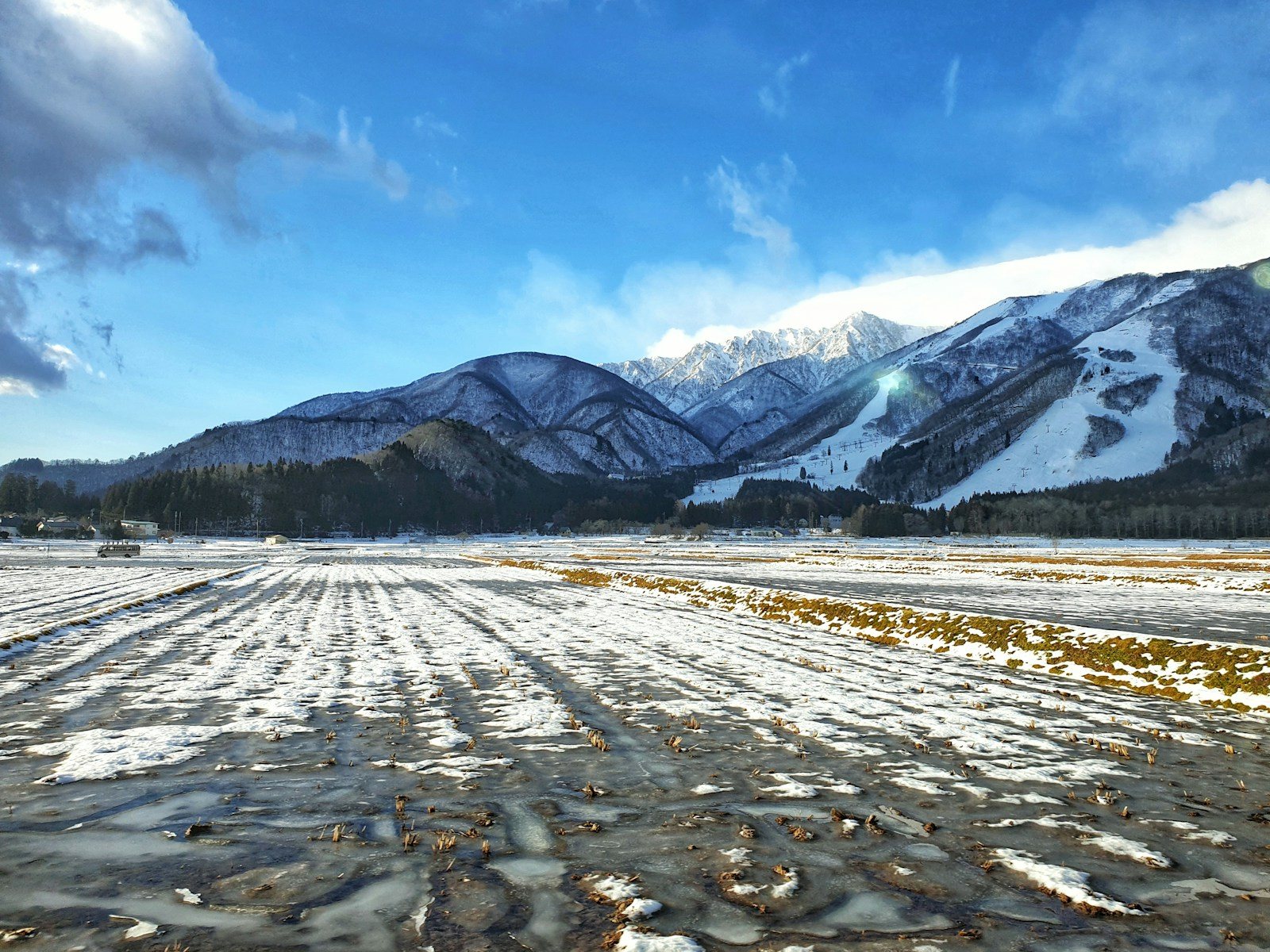 雪原の向こうに山を望む冬の道