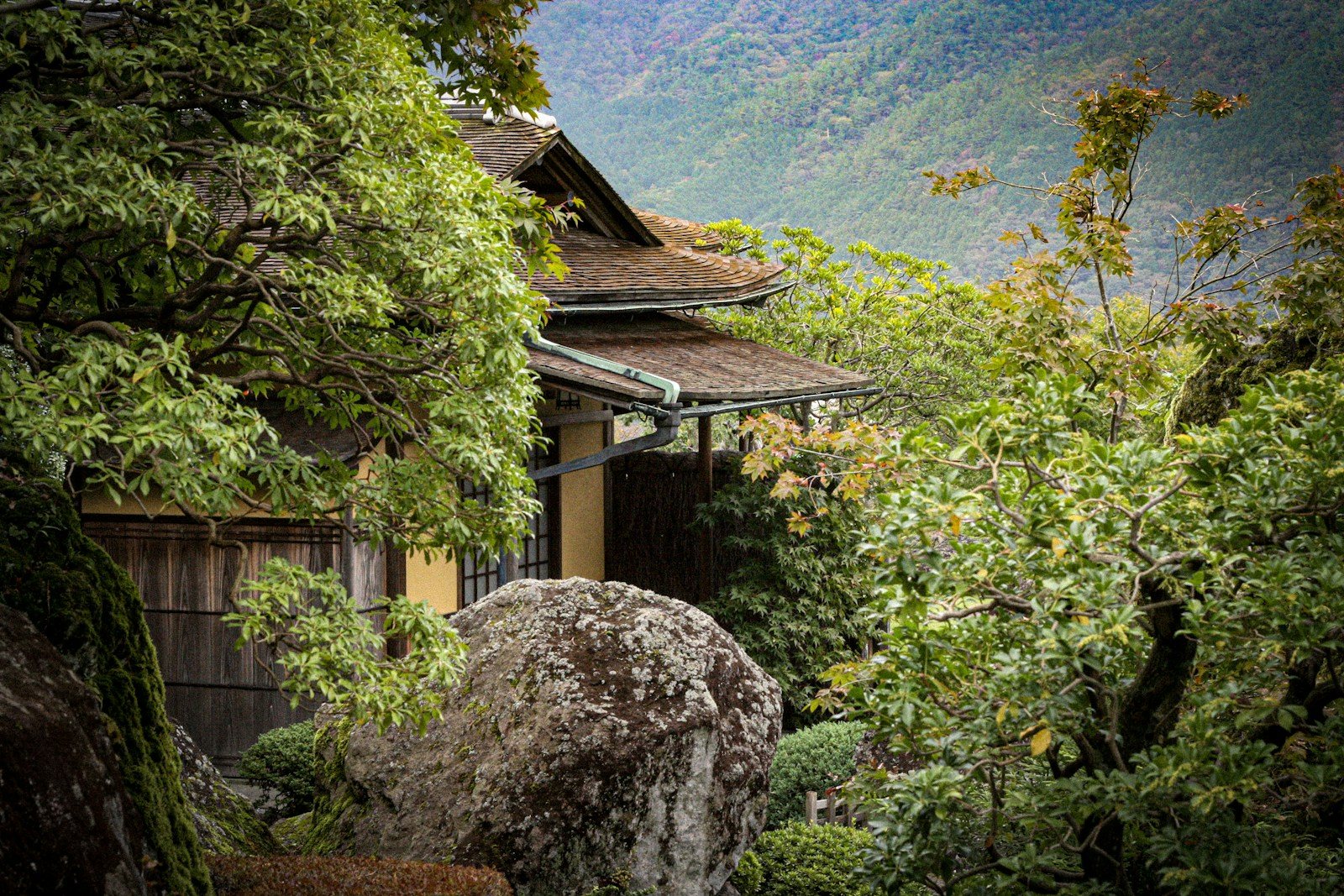 緑の木々に囲まれた和風の建物
