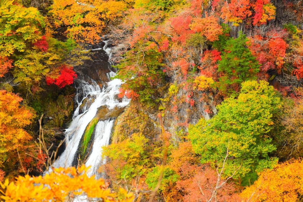 紅葉に囲まれた段瀑