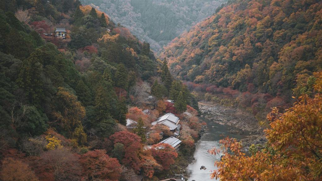 緑の山にはさまれた川