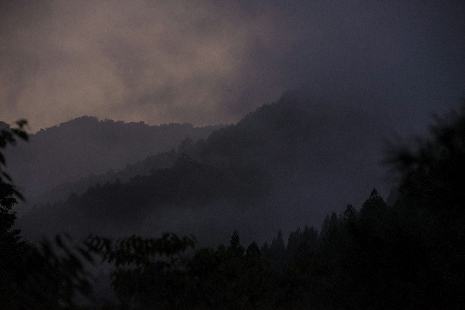 夕暮れの長野の山と森