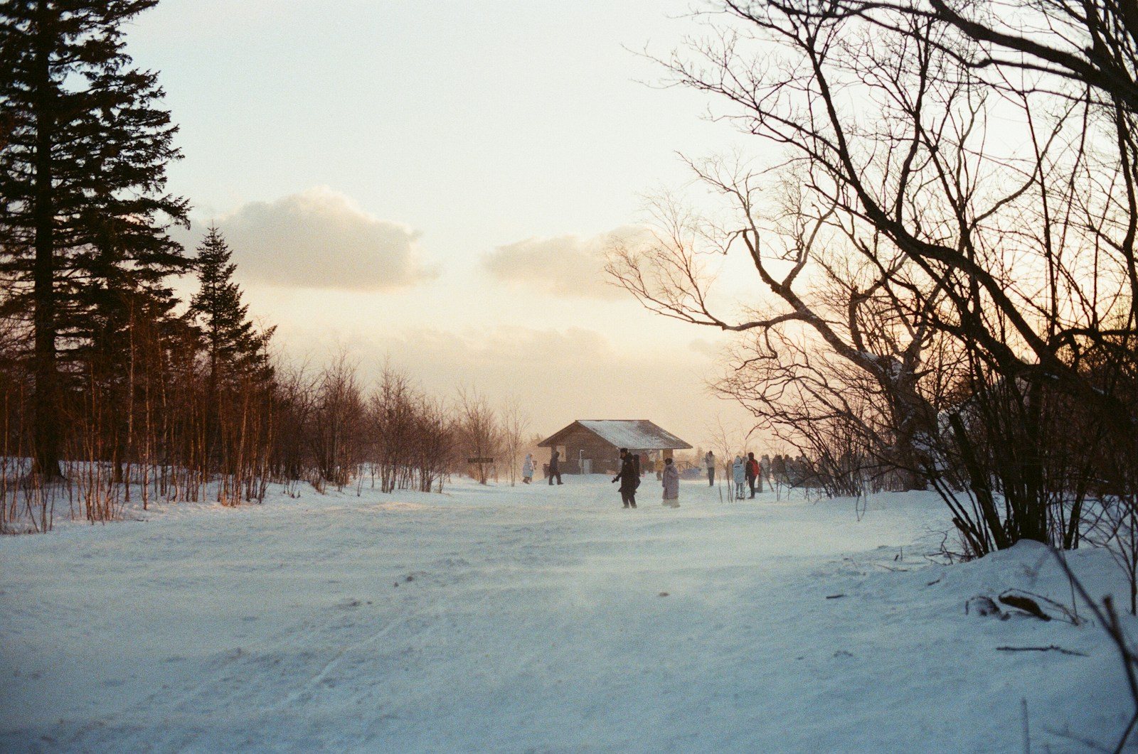 雪原に立つ小さな小屋と夕暮れ