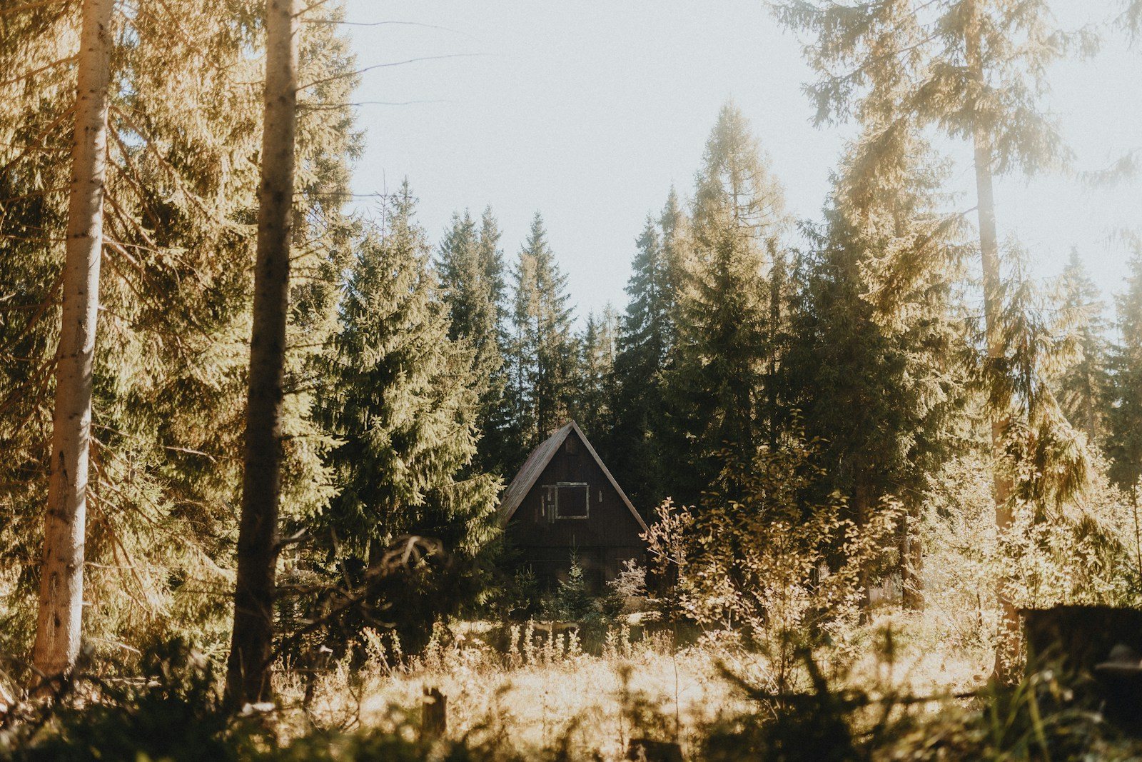 樹林に囲まれた木造の小屋