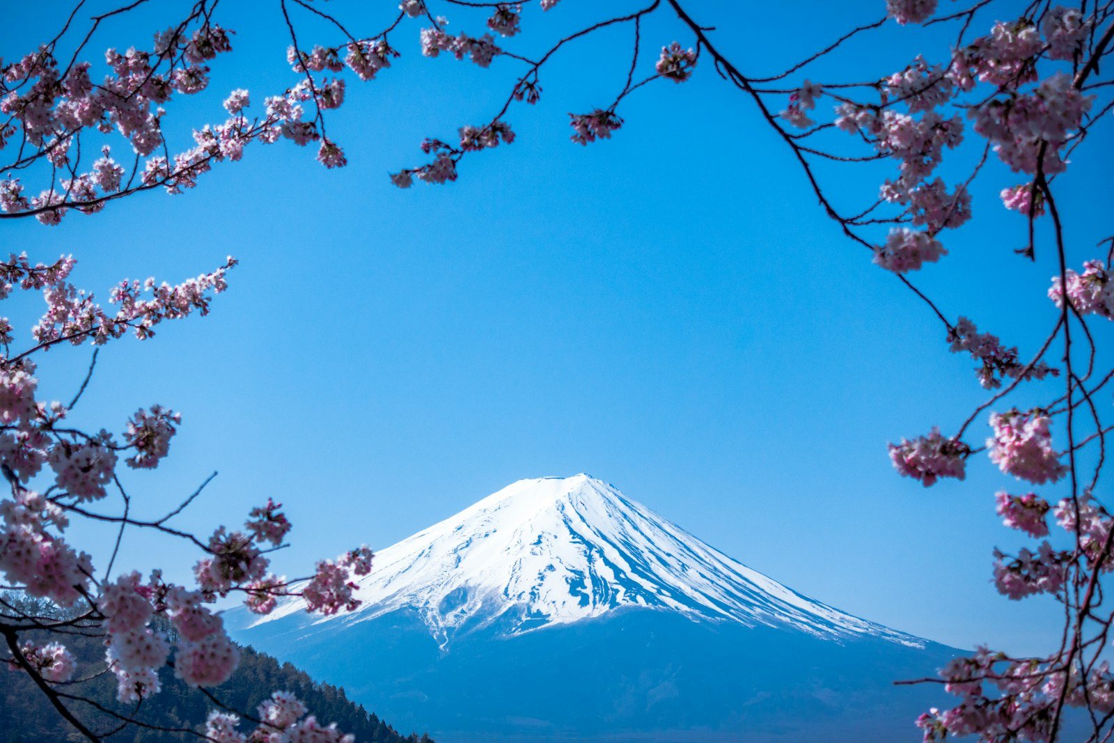 山の稜線越しに見える富士山