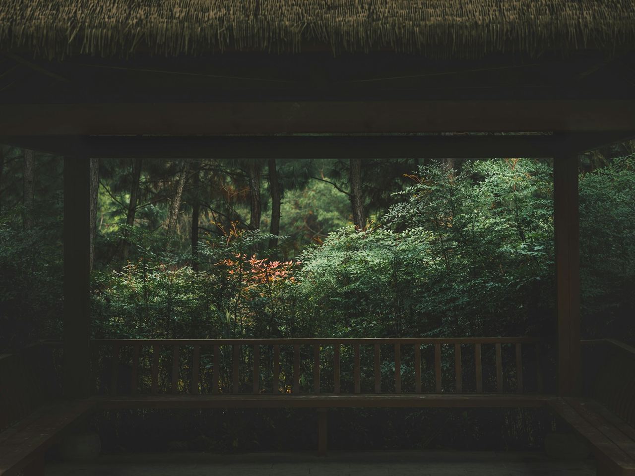 東屋から見る緑