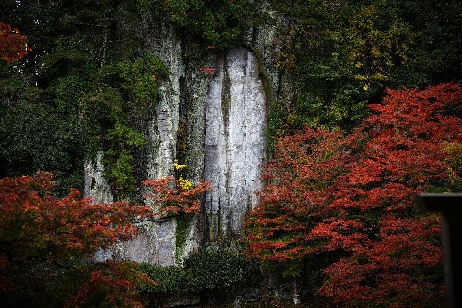 紅葉に囲まれた岩壁