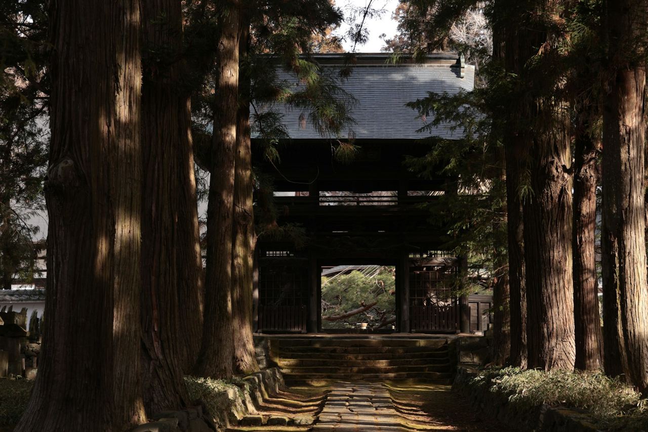 杉木立の中を寺の門へ続く石の道