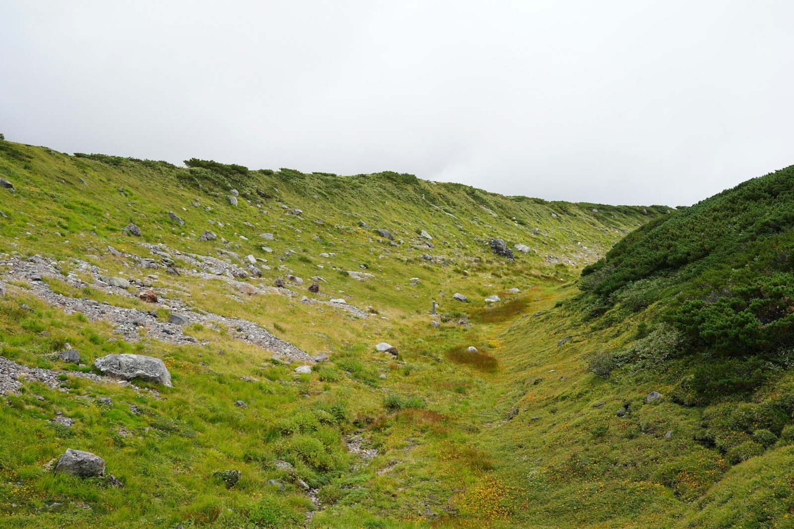 雲の下に広がる高山の草地と登山道