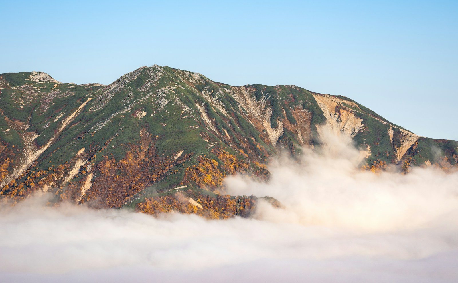 霧の上に姿を見せる山頂