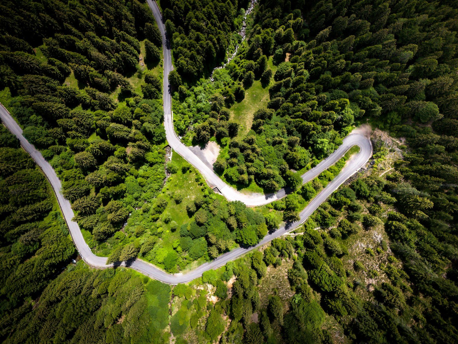 森を縫って蛇行する道路