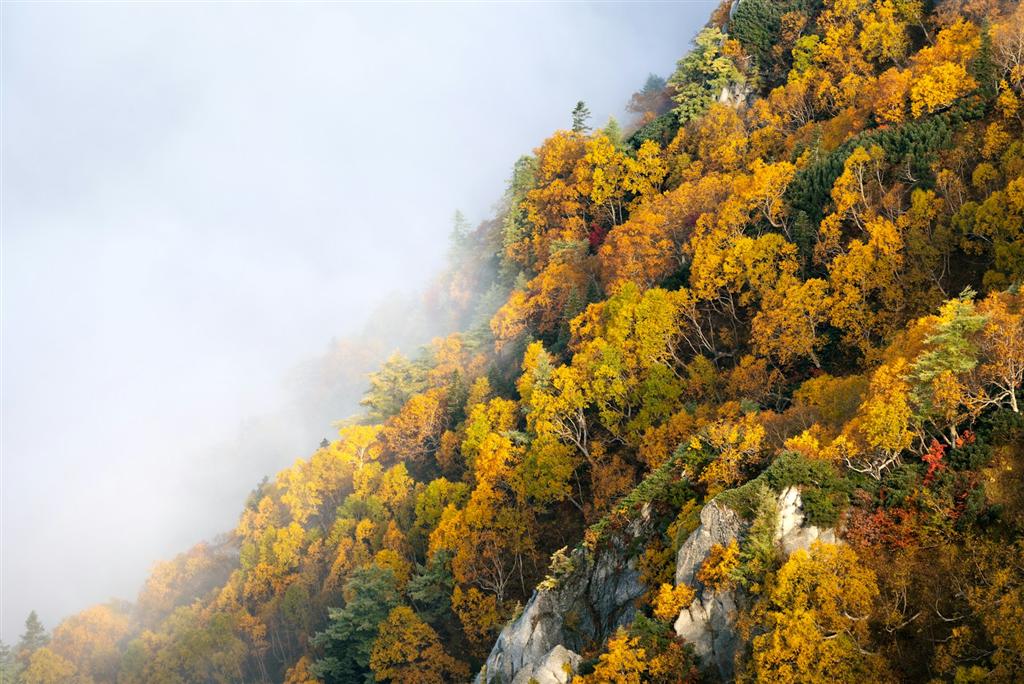 紅葉に染まる山