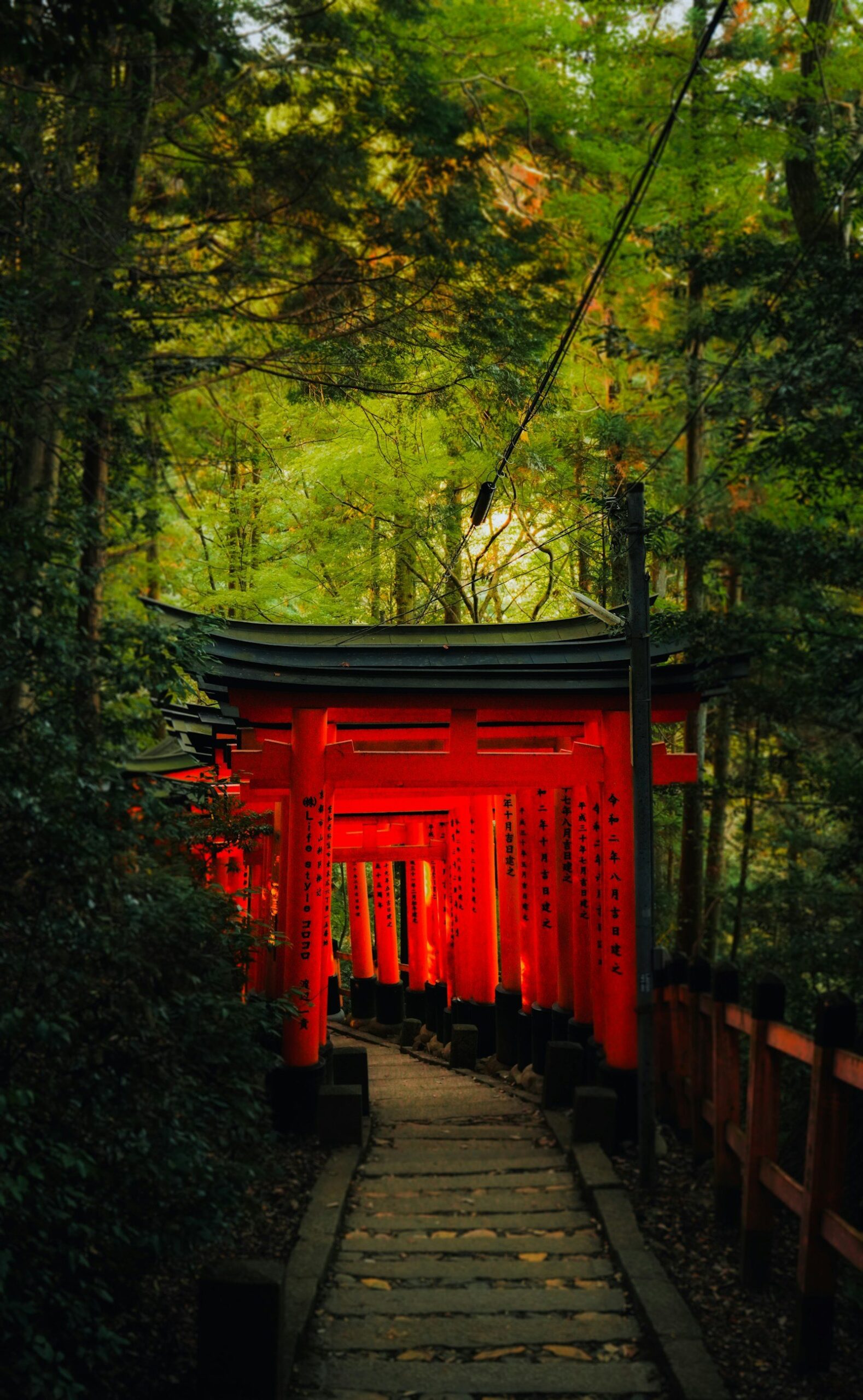 赤い鳥居が連なる道