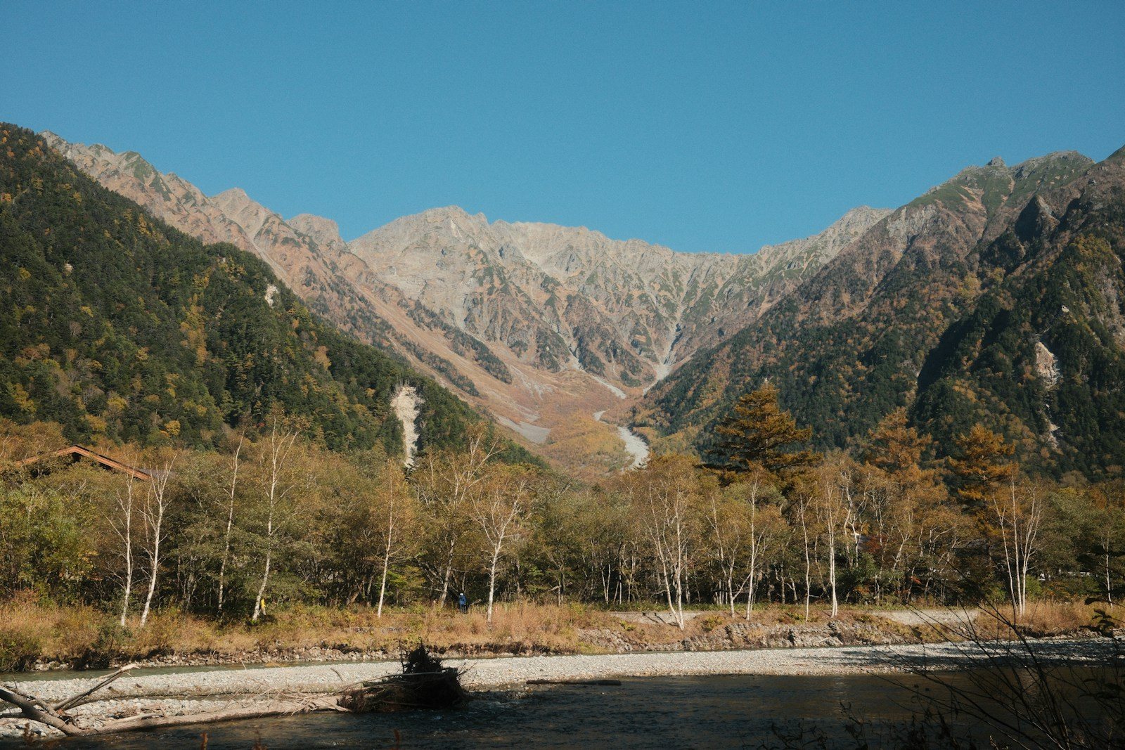 紅葉した木々が並ぶ川沿いと山並み