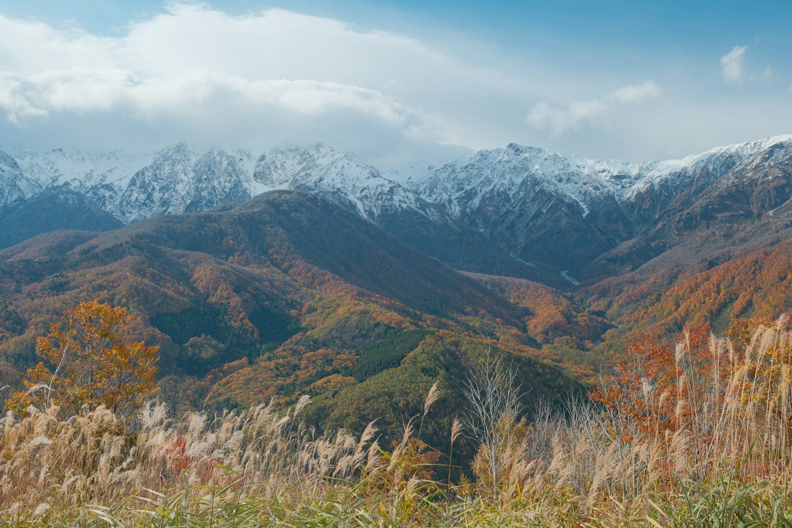 冠雪した峰と色づいた斜面