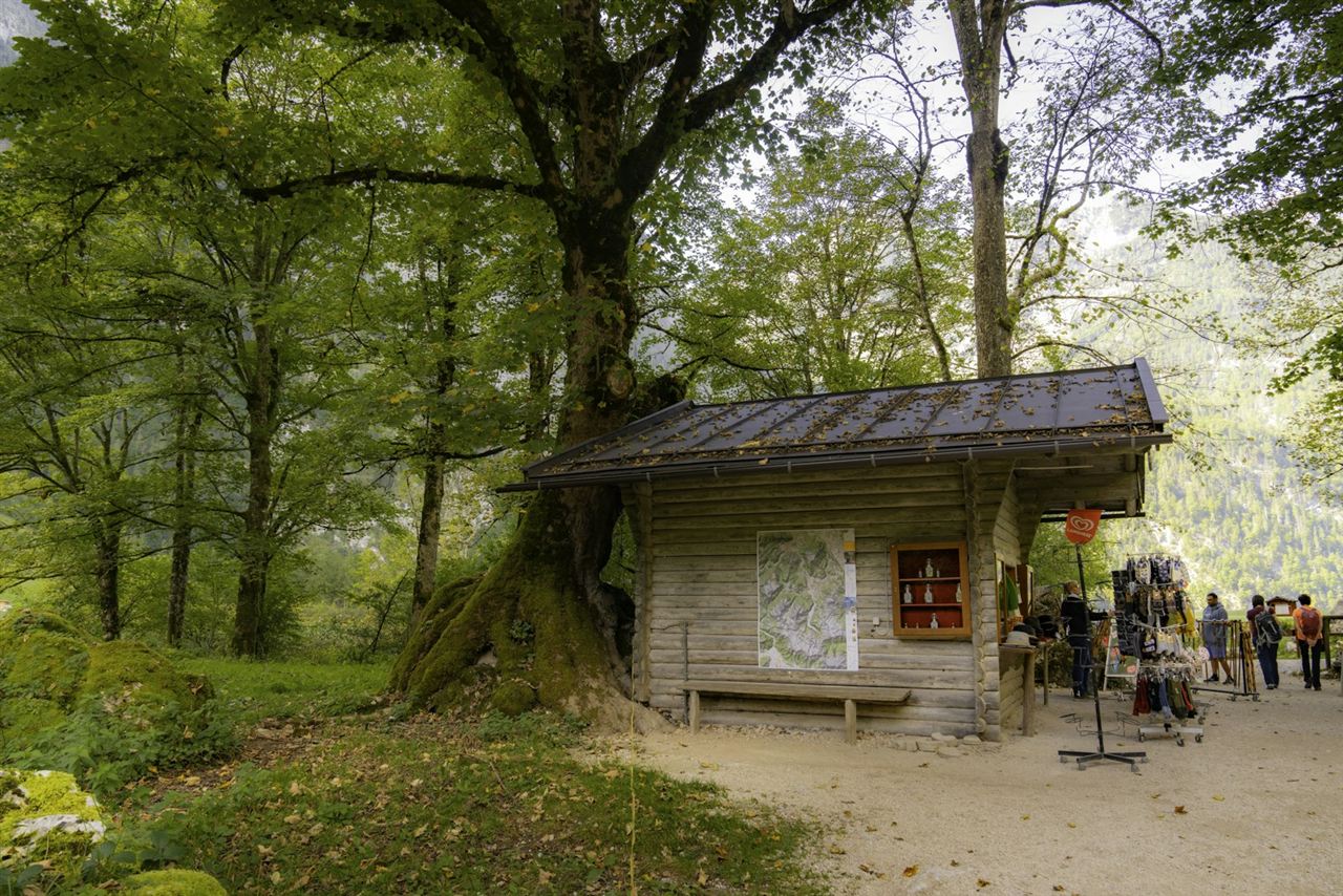 色づき始めた森の中の木造の建物