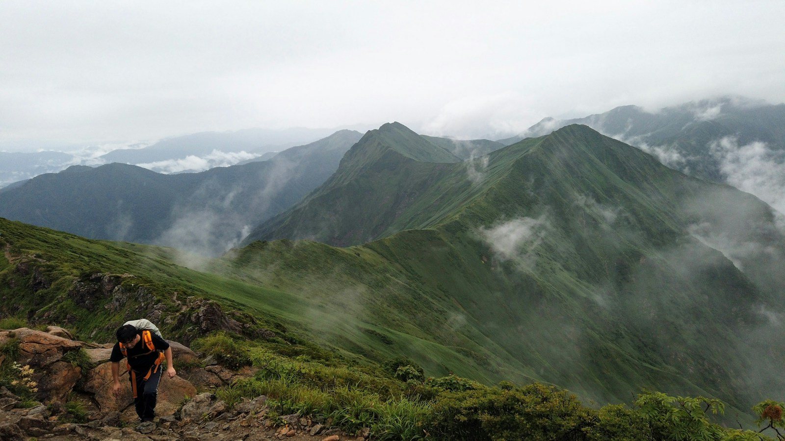 緑と岩肌の混じる山