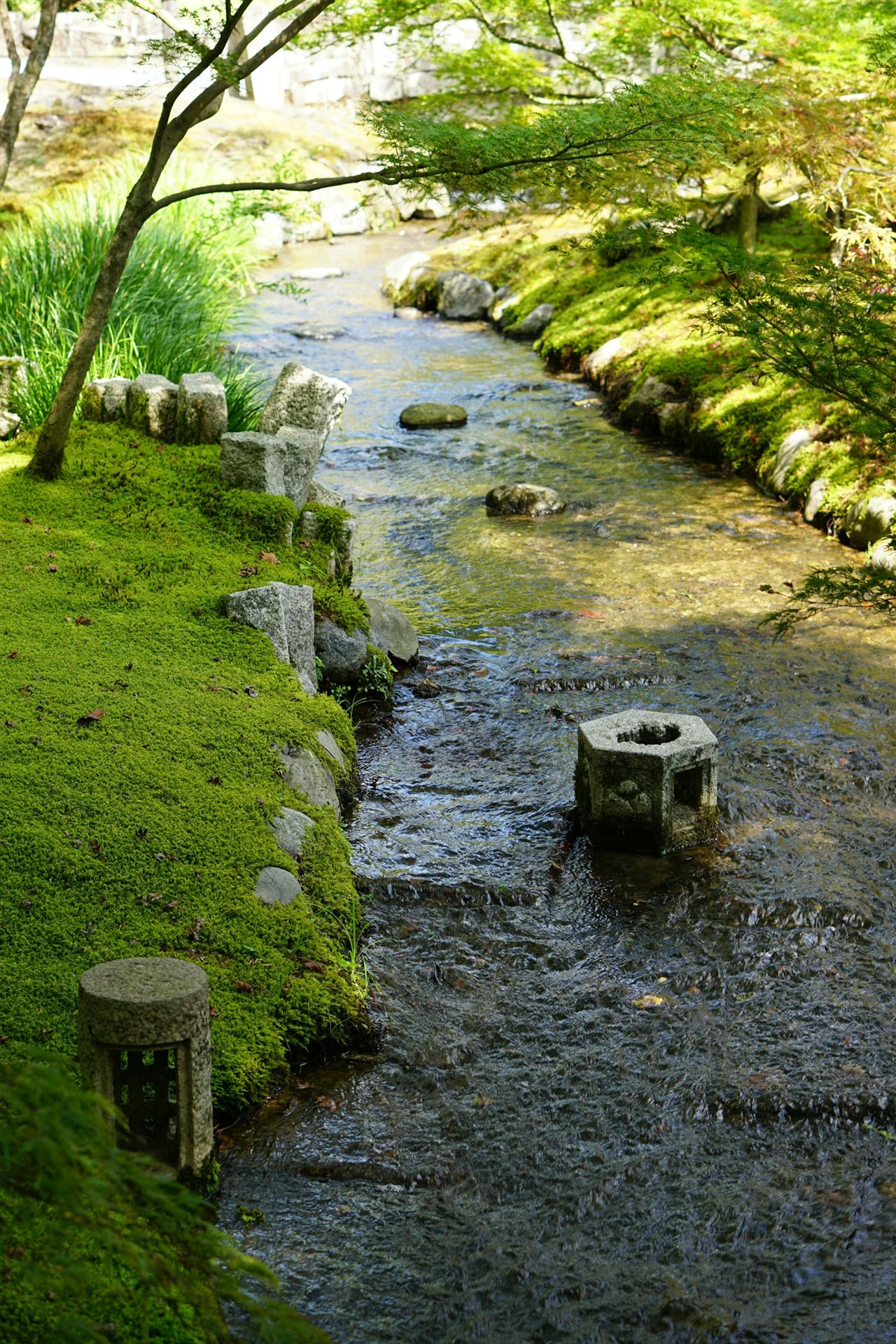 苔の間を流れる澄んだ水