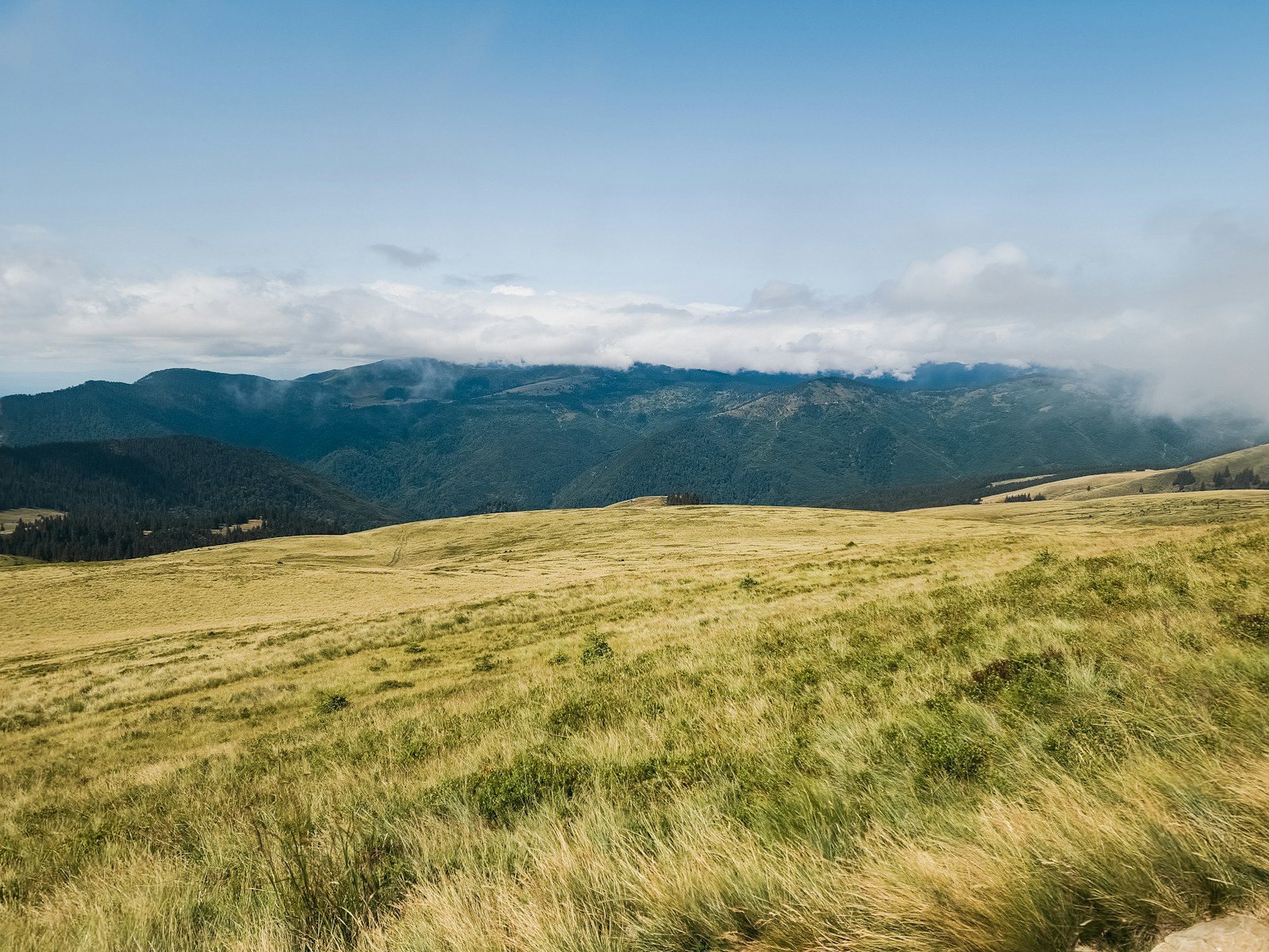 草原の頂と遠くの山