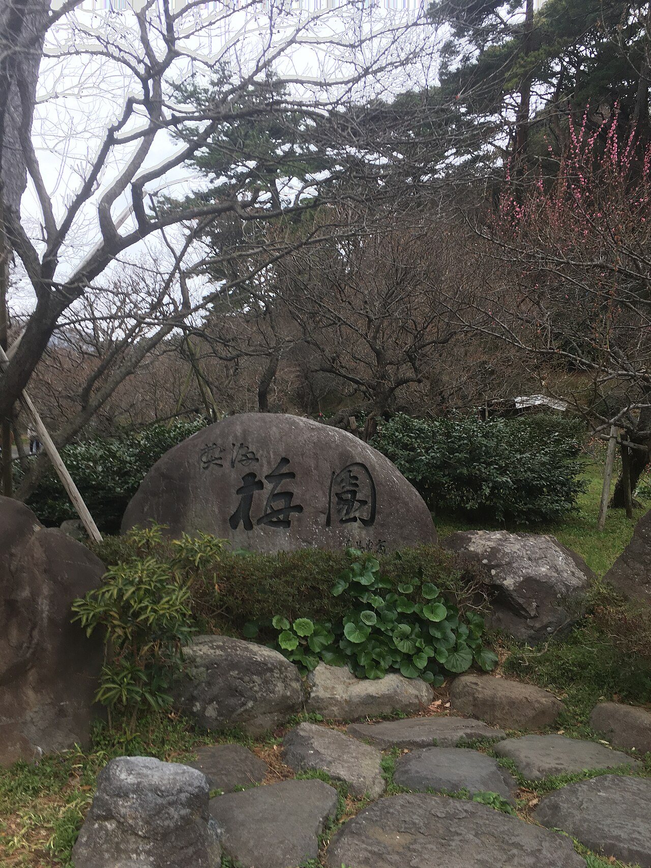 熱海梅園 (Atami baien plum garden)