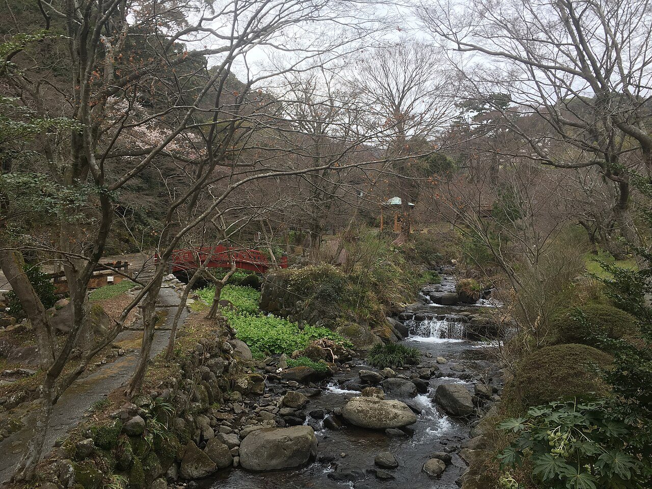 梅園の中を流れる岩の多い沢と赤い橋