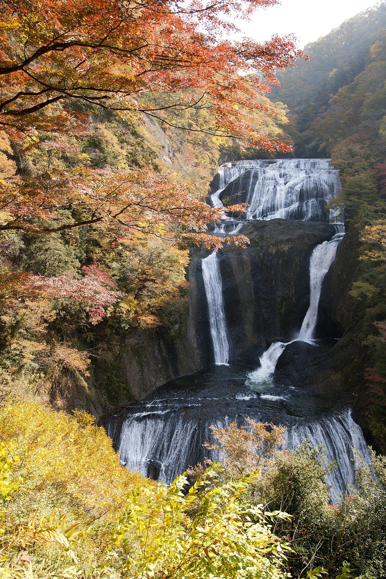 赤や黄色の紅葉の中を四段に落ちる袋田の滝